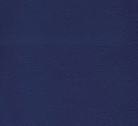 AE-Color-Royal-Blue.jpg